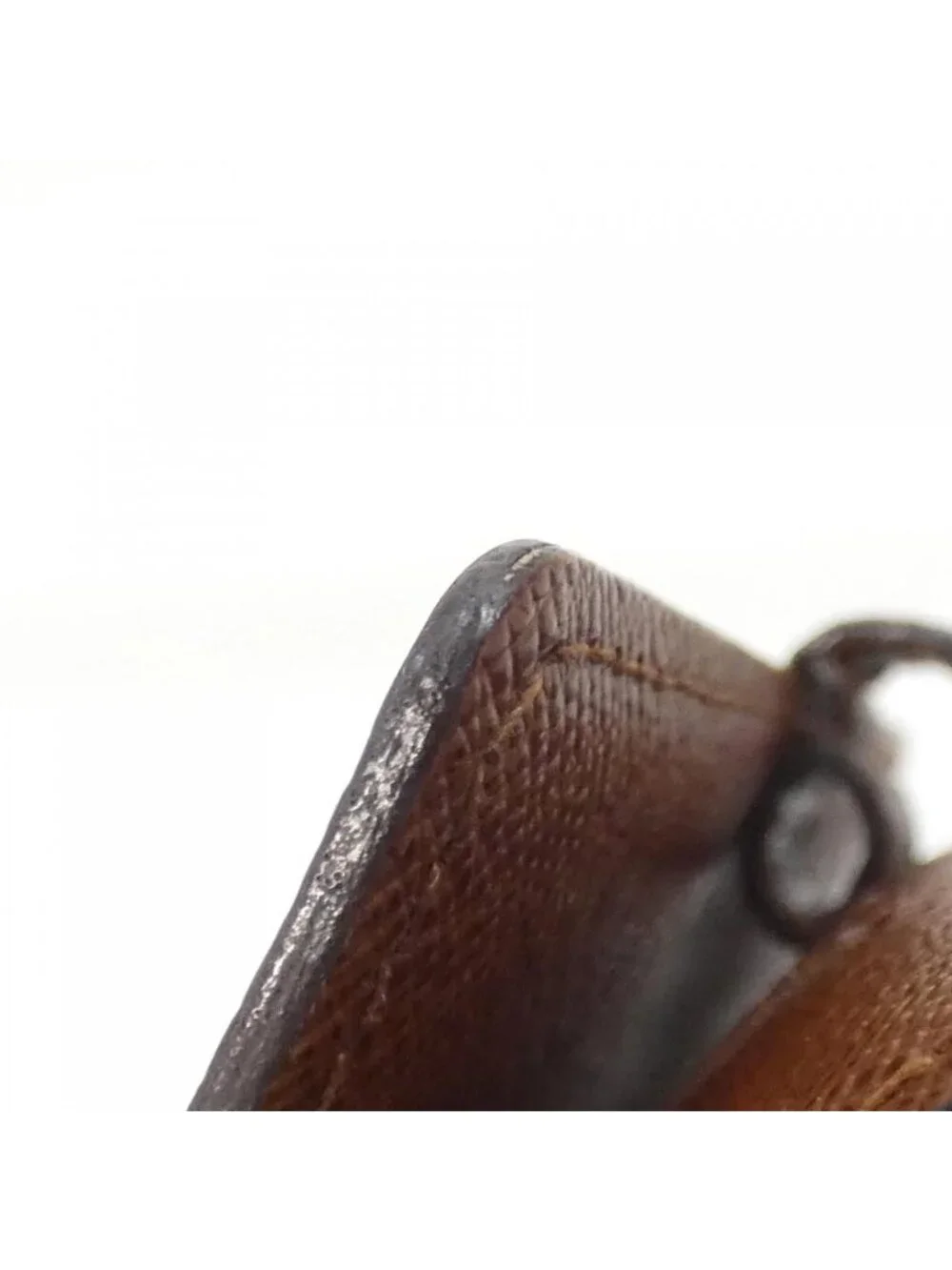 Louis Vuitton brand louis